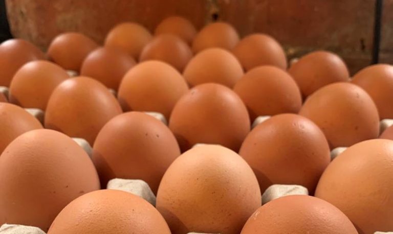 Read more about the article SPOTLIGHT ON EGGS AND THEIR ROLE IN BAKING